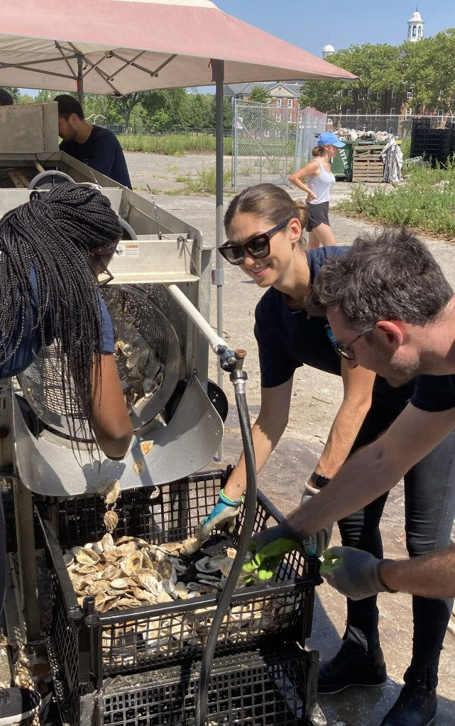 Volunteers at Billion Oyster Project, New York