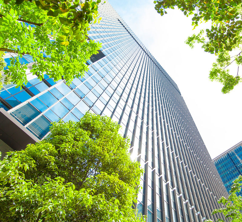 Office Building Exterior with Trees